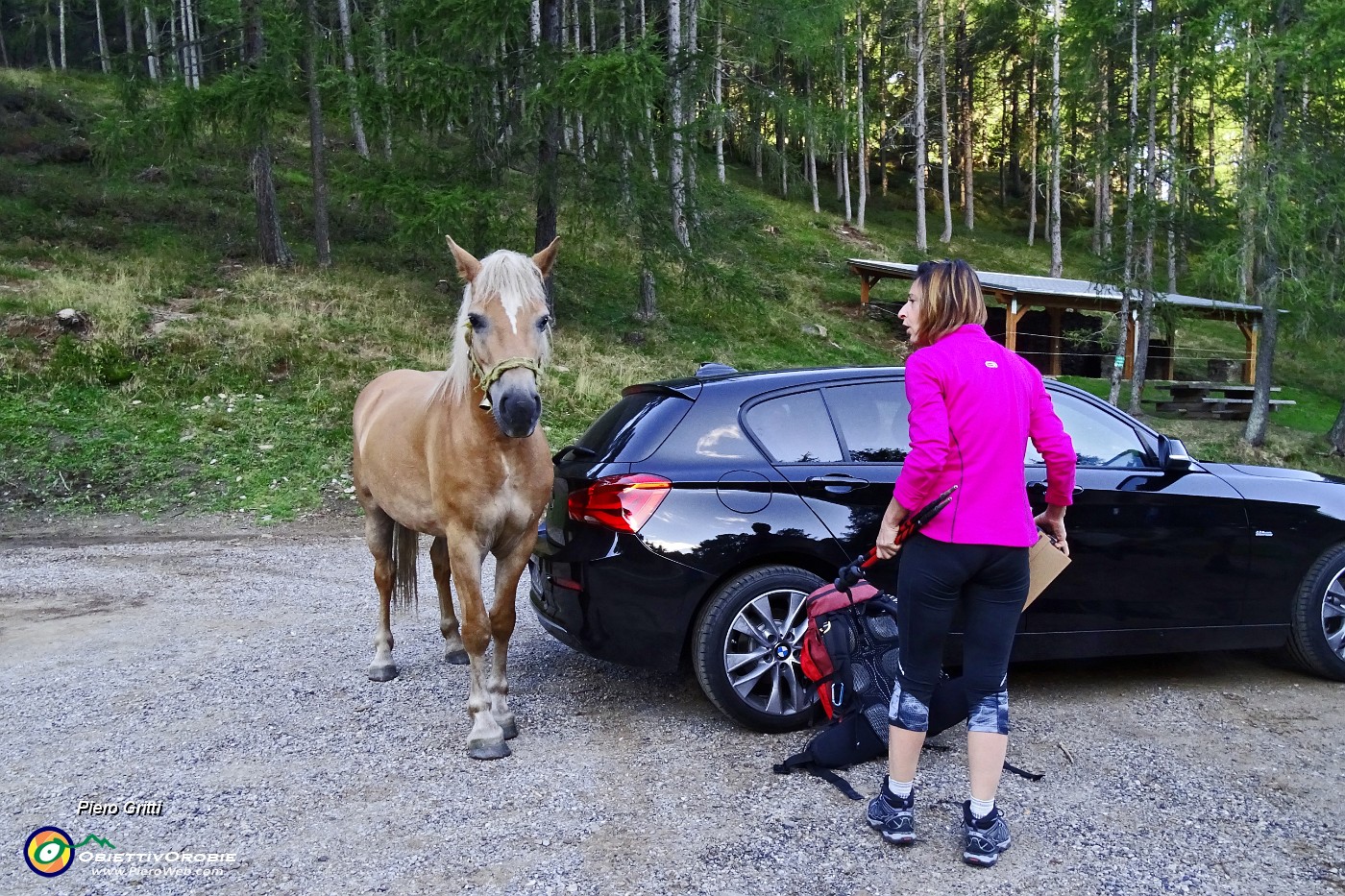 10 Oh, cavallo, stai buono !.JPG -                                